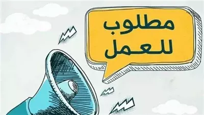 فرص عمل أون لاين للشباب برواتب تصل إلى 40 ألف جنيه شهريًا