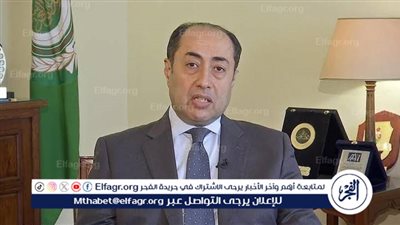 الأمين العام المساعد لجامعة الدول العربية يكشف المقترح المصري الخاص بغزة