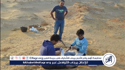 اكتشاف عالمي جديد لمركز الحفريات بجامعة المنصورة آكلات لحوم شرسة استوطنت مصر قبل 30 مليون عام