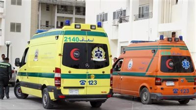 يسير عكس الاتجاه.. تفاصيل ضبط سائق توك توك دهس سيدة بالسيدة زينب