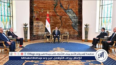 خبير: لقاء السيسي برئيس الكونجرس اليهودي يؤكد نجاح الموقف المصري في رفض التهجير