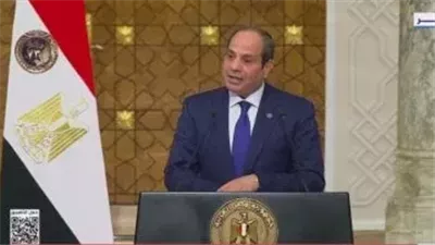 خبيرة: القضية الفلسطينية على رأس التحركات الخارجية للرئيس السيسي