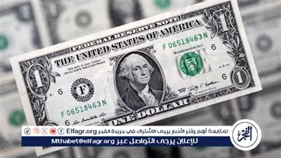 سعر الدولار مقابل الجنيه المصري اليوم الثلاثاء 18 فبراير 2025