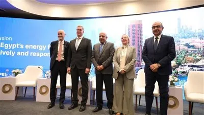 وزيرة البيئة تشارك في الجلسة النقاشية الوزارية حول مستقبل الطاقة في مصر