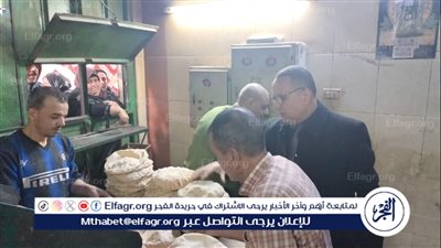 ضبط نحو 4 طن لحوم ودواجن ومصنعاتها ومنتجات متنوعة وتحرير 388 مخالفة بالدقهلية