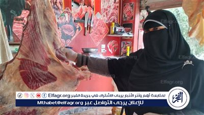 محافظ الدقهلية: ضبط 375 كيلو لحوم ودجاج مخالفة للمواصفات