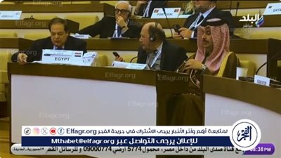 وكيل النواب يُلقن مندوب إسرائيل درسًا قاسيًا في برلمان البحر المتوسط(فيديو)
