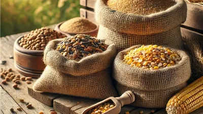 أسعار الأعلاف اليوم السبت 22 فبراير 2025