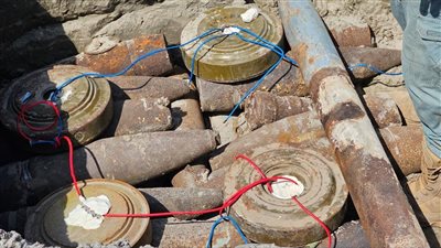 المشروع السعودي 