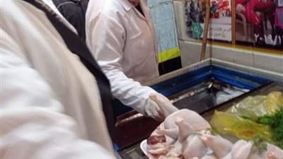 ضبط 10 طن لحوم مجمدة ودواجن وكبده وأسماك مدخنة مخالفة في بلبيس والعاشر من رمضان