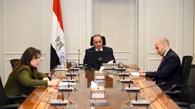 وزير الخارجية والهجرة يشارك باللقاء الافتراضي مع الجالية المصرية في فرنسا