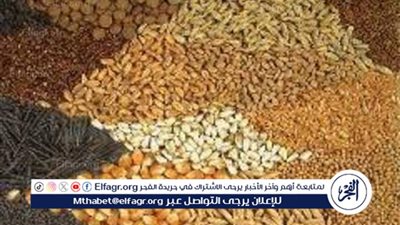 أسعار الأعلاف في أسوان تشهد تراجعًا طفيفًا – الجمعة 14 نوفمبر 2025