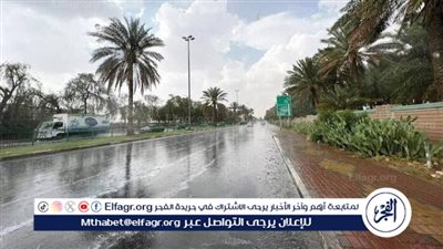 عاجل - كتل هوائية أوروبية تضرب مصر.. الأرصاد تكشف عن سبب الموجة الباردة وموعد انتهائها