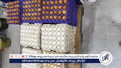 محافظ الدقهلية يفتتح منفذ مستقبل مصر بالمنصورة بعد ظهر اليوم 