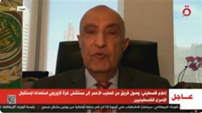 ماجد عبد الفتاح: مشروع قرار يُعد داخل مجلس الأمن بالتنسيق بين الأعضاء المنتخبين والمجموعة العربية