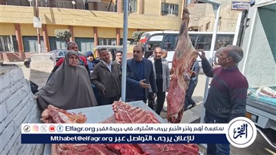 محافظ الدقهلية: بدء عمل قافلة سيارات بيع اللحوم الطازجة بسعر 260 جنيه بمركز السنبلاوين (صور) 