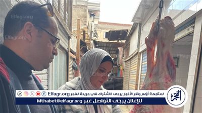 محافظ الدقهلية: ضبط 1402 كيلو لحوم ودجاج مخالفة للمواصفات وذبح خارج المجزر 