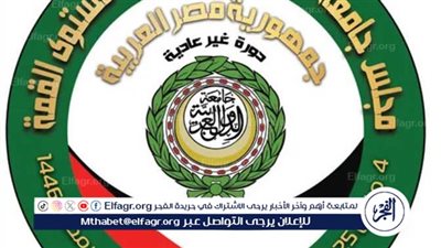 خبير: القمة الطارئة تؤكد أن العرب صوتا واحد تجاه القضية الفلسطينية (فيديو)