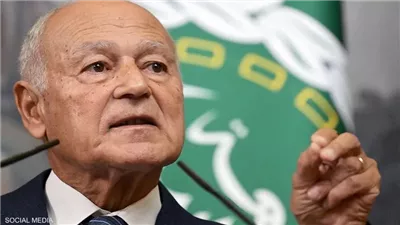 عاجل| أبو الغيط: خطة إعمار غزة رد حاسم على محاولات التهجير وحظيت بتوافق عربي واسع