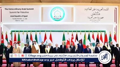 أستاذ علوم سياسية: التوافق في القمة العربية يعكس نجاح القيادة المصرية (فيديو)