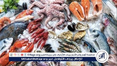 أسعار الماكولات البحرية اليوم الاثنين 6-10-2025 في الدقهلية