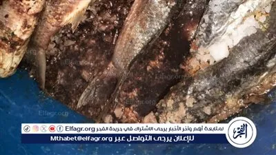ضبط 600 كيلو من الأسماك المملحة الفاسدة بالفيوم