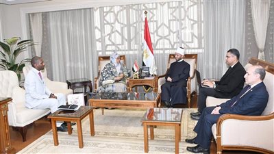 وزير الأوقاف يبحث تعزيز التعاون الديني والثقافي مع سفيرة النيجر
