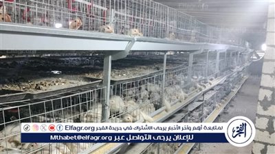 حملة مكثفة لمتابعة قطاع الإنتاج الحيواني بالفيوم