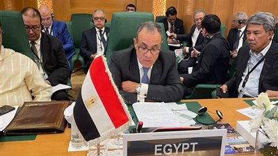 وزير الخارجية والهجرة يشارك في الدورة الاستثنائية لمجلس وزراء خارجية الدول الأعضاء في منظمة التعاون الإسلامي