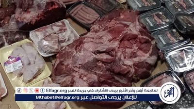 تحرير 384 محضرًا وضبط لحوم فاسدة وألعاب نارية محظورة خلال حملات تموينية بمراكز أسيوط 