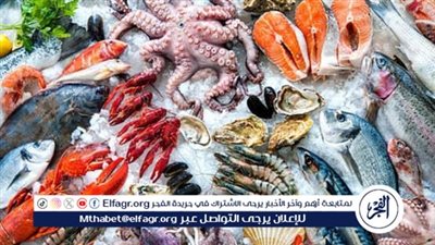 أسعار المأكولات البحرية والجمبري اليوم السبت 10-5-2025 في محافظة الدقهلية