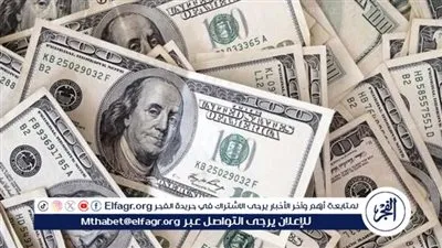 استقرار سعر الدولار مقابل الجنيه المصري اليوم الأربعاء 12 مارس 2025