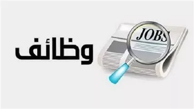 وزارة العمل توفر 135 فرصة عمل بمرتبات تصل إلى 9400 جنيه شهريًا