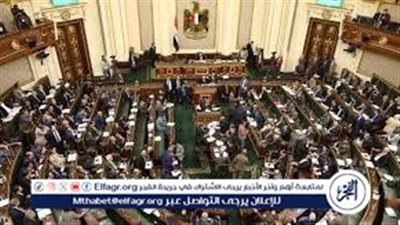 موعد الانتخابات البرلمانية المقبلة في مصر.. كل ما تحتاج معرفته عن الاستعدادات والتحالفات