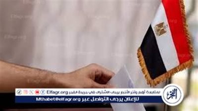 تفاصيل جولة الإعادة في انتخابات الشيوخ للمصريين بالخارج