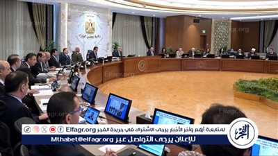 مجلس الوزراء: 1800 شركة أمريكية تعمل في مصر باستثمارات 47 مليار دولار