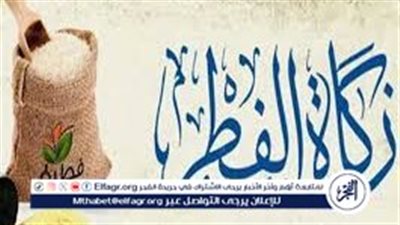 قبل ما تخرج زكاتك.. اعرف أنواع زكاة الفطر وحكم التبرع بيها للجمعيات الخيرية