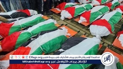 صحة غزة: 113 شهيدا و637 مصابا خلال الساعات الـ 24 الماضية