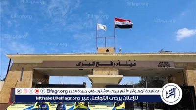 عاجل| جهود مصرية مكثفة لاحتواء التصعيد في غزة (تفاصيل) 