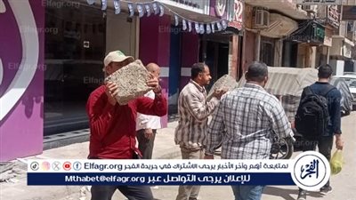 حملة مكبرة لرفع الإشغالات والتعديات علي الطريق بحي شرق مدينة أسيوط 