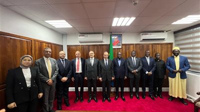 وزير الخارجية والهجرة يلتقي نائب رئيس الوزراء ووزير الطاقة التنزاني لبحث التعاون 