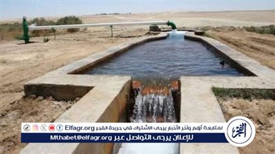 العثور على جثة غريق بحوض ري زراعي بمركز الواسطى ببني سويف