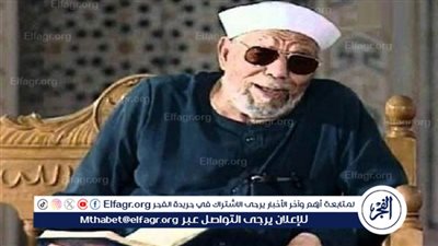 بسبب الشعراوي وصلاح الدين الأيوبي| برلماني سابق يهاجم يوسف زيدان: رموزنا خط أحمر