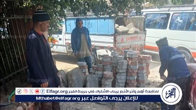 تركيب بلاط الإنترلوك بشوارع حى شرق أسيوط 