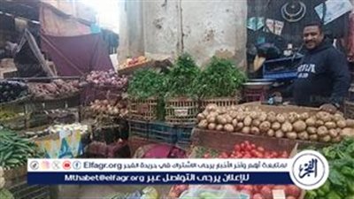 ارتفاع أسعار البامية والليمون في الأسواق المصرية.. الأسباب والتوقعات