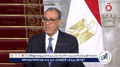 وزير الخارجية: نقدر موقف الاتحاد الأوروبي المرحب للخطة العربية بشأن غزة