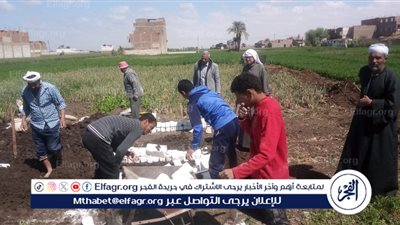  إزالة 32 حالة تعدي على أراضي أملاك دولة بمراكز أبوتيج والفتح وحي شرق أسيوط 