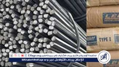 سعر الحديد والأسمنت اليوم الثلاثاء 25 مارس 2025 مقابل الجنيه المصري بالبنوك