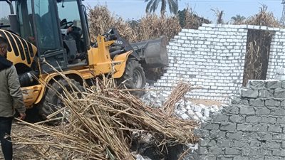 إزالة 20 حالة تعدي على الأراضي الزراعية ومخالفات بناء في الجيزة