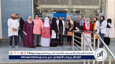 صحة الدقهلية: 